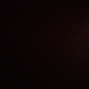 Meet your Posher, Xavier